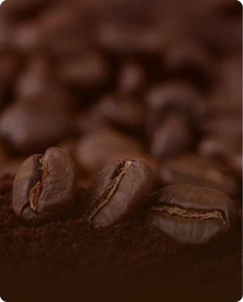 Siempre recién tostado. Nunca café “dormido” en un almacén.